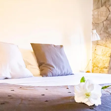 Apartment Innpisarentals - Arco Antico In Historical Center Pisa